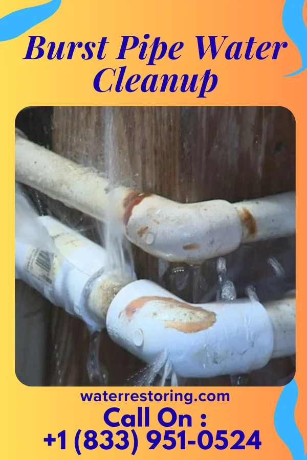 Burst Pipe Water Cleanup in Peoria, IL