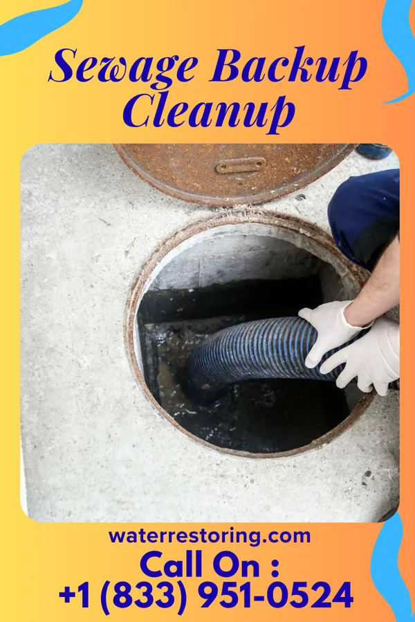 Sewage Backup Cleanup in Peoria, IL